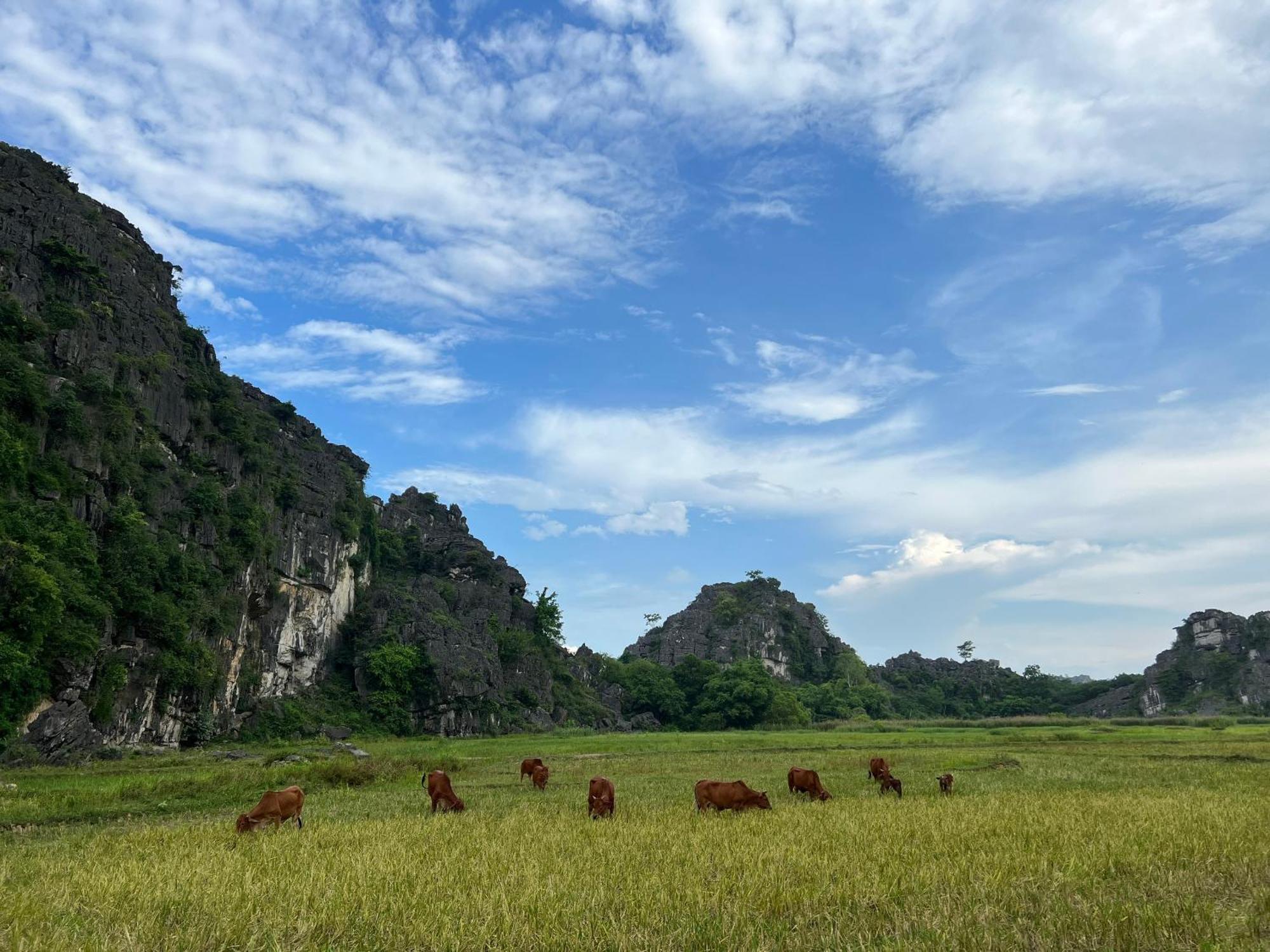 Ninh Binh Family Homestay 外观 照片