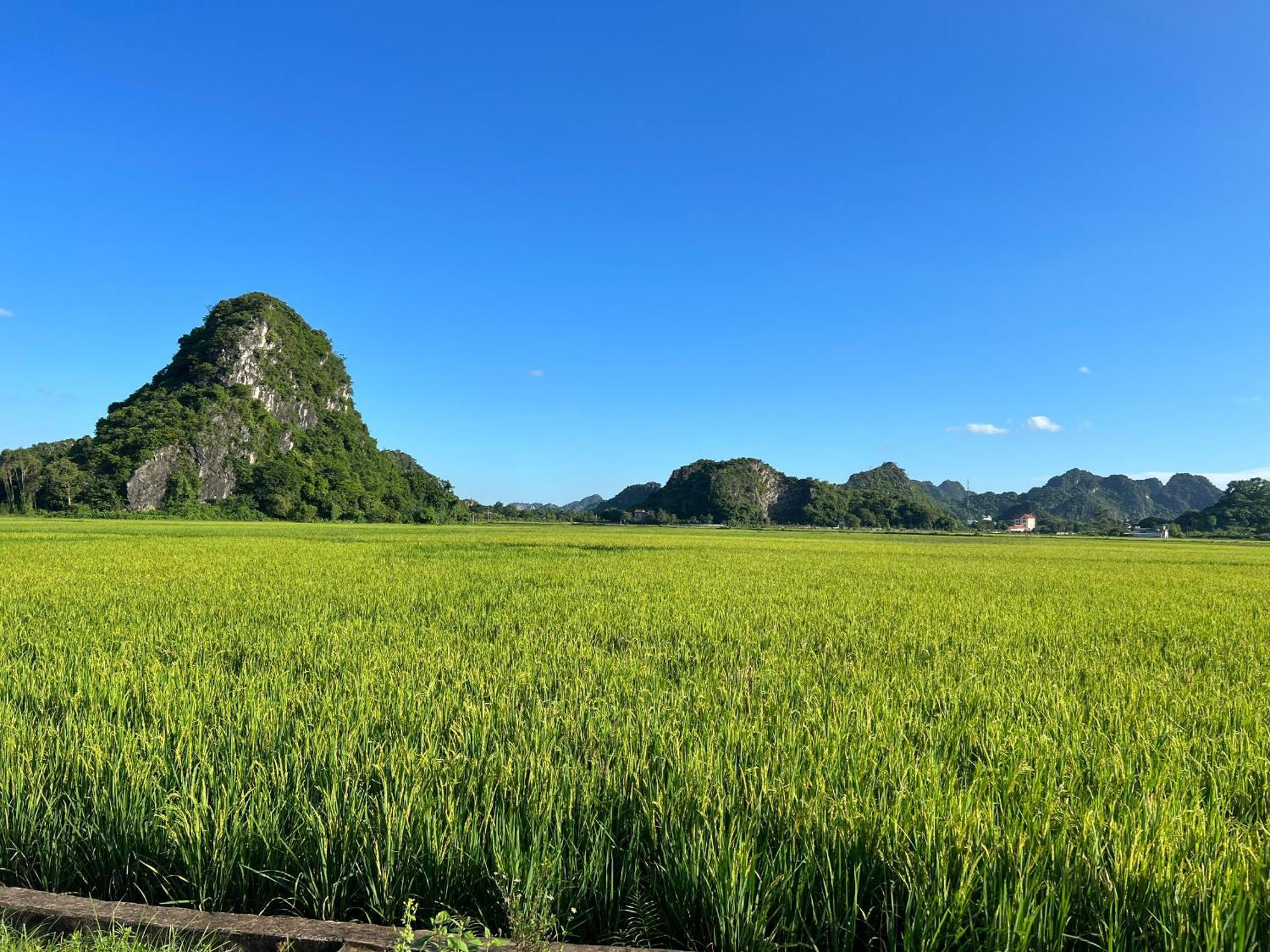 Ninh Binh Family Homestay 外观 照片